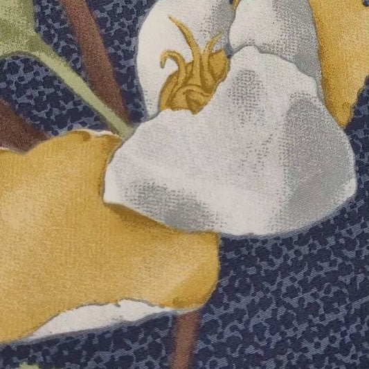 Ambra - Dinamikus árnyalatok modern szimfóniája